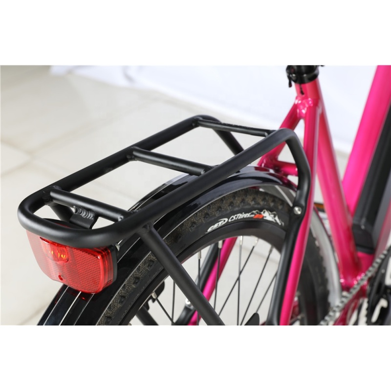 26 Inches Female Electric City Bike City Electric Bike 250W 36V Hidden Frame Lithium Battery 48V Optional