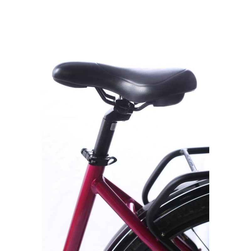 26 Inches Female Electric City Bike City Electric Bike 250W 36V Hidden Frame Lithium Battery 48V Optional