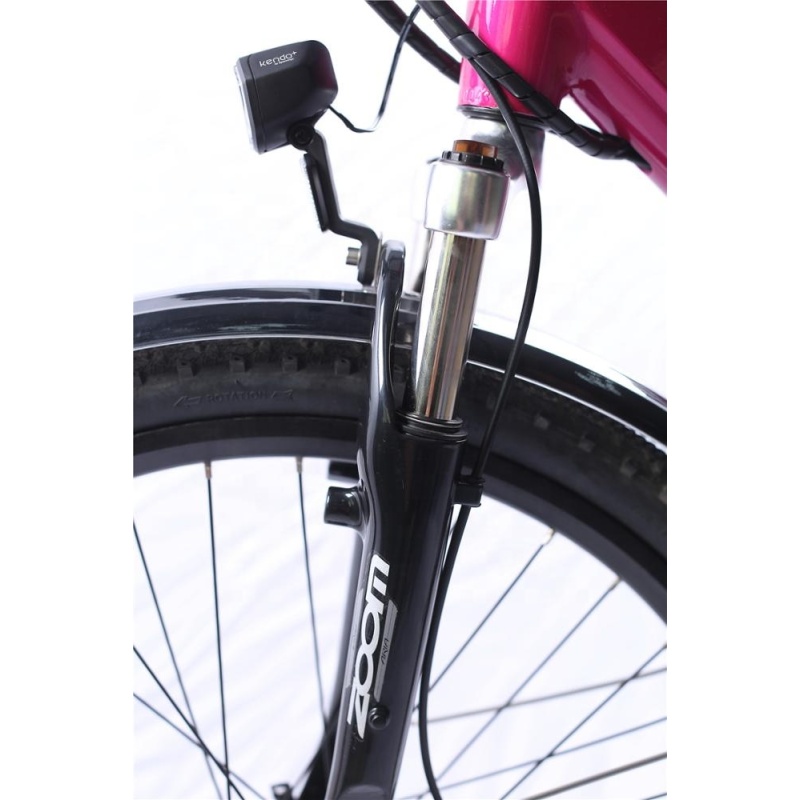 26 Inches Female Electric City Bike City Electric Bike 250W 36V Hidden Frame Lithium Battery 48V Optional