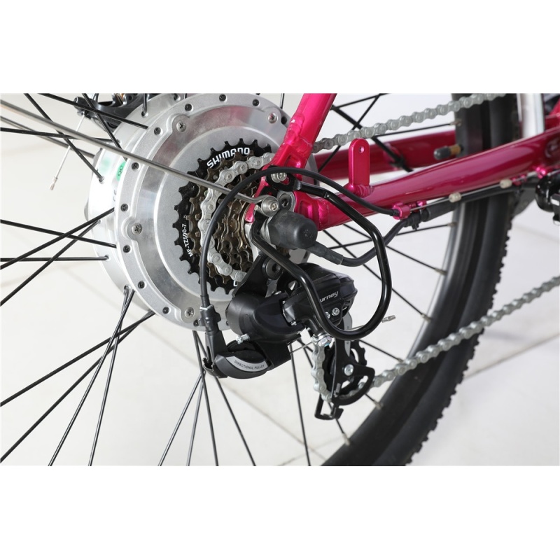 26 Inches Female Electric City Bike City Electric Bike 250W 36V Hidden Frame Lithium Battery 48V Optional