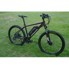 Light Weight 48V 250W Hub Motor Lithium Battery Electric Bike Mountain Sport Bike Electric With Shimano 24 Speed Gears
