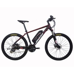 Light Weight 48V 250W Hub Motor Lithium Battery Electric Bike Mountain Sport Bike Electric With Shimano 24 Speed Gears