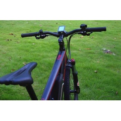 Light Weight 48V 250W Hub Motor Lithium Battery Electric Bike Mountain Sport Bike Electric With Shimano 24 Speed Gears