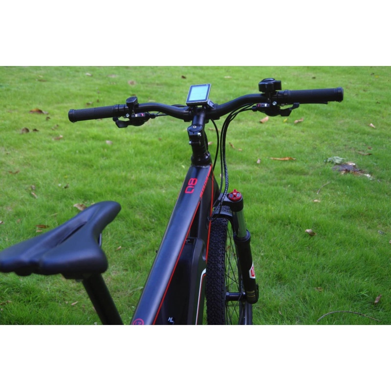 Light Weight 48V 250W Hub Motor Lithium Battery Electric Bike Mountain Sport Bike Electric With Shimano 24 Speed Gears