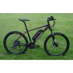 Light Weight 48V 250W Hub Motor Lithium Battery Electric Bike Mountain Sport Bike Electric With Shimano 24 Speed Gears