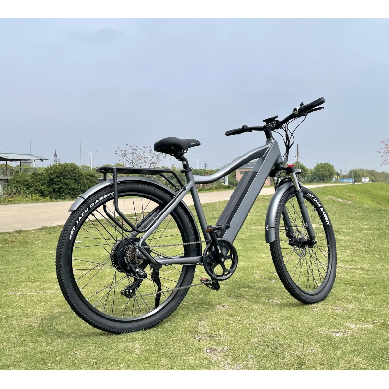 48V 500W Cool Electric Bike 27.5 29 Inches Charging Bike Electric Bicycle Enduro Ebike With Hydraulic Disk Brakes