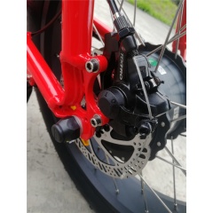 High Quality 20 Inch Fat Bike Electric 48V 500W Big Power Fatbike Electric Bicycle With 4.0 Fat Tires Long Seat