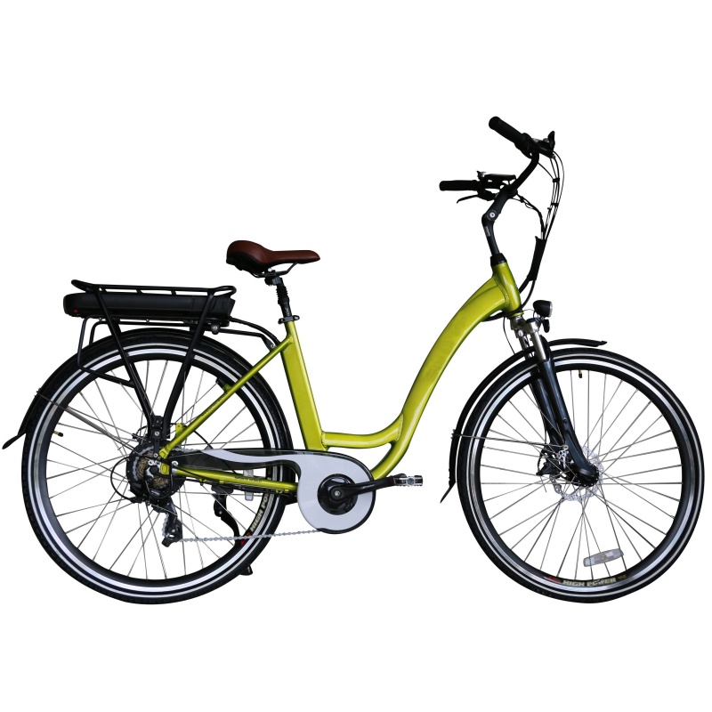 700C 28 Inches Dutch Lady Electric Bicycle CE Certificated Pedal Assisted Electric Bike For Tall Rider