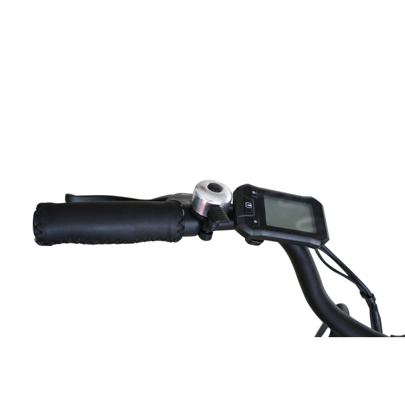 700C 28 Inches Dutch Lady Electric Bicycle CE Certificated Pedal Assisted Electric Bike For Tall Rider