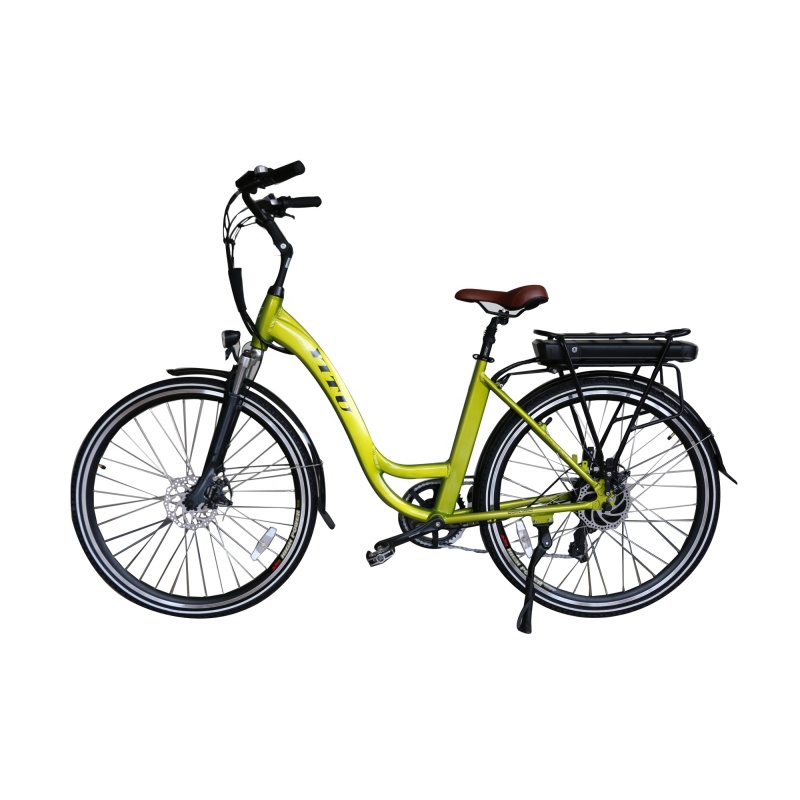700C 28 Inches Dutch Lady Electric Bicycle CE Certificated Pedal Assisted Electric Bike For Tall Rider