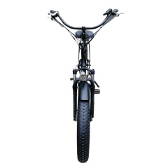 48V 1000w electric beach cruiser bicycle beach cruiser electric bike with 26
