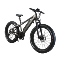 Super Torque Bafang Mid Drive Ebike 1000W Central MotorEelectric Mountain Bike With 26