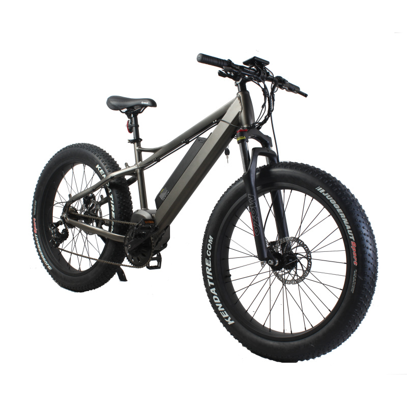 Super Torque Bafang Mid Drive Ebike 1000W Central MotorEelectric Mountain Bike With 26