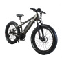 Super Torque Bafang Mid Drive Ebike 1000W Central MotorEelectric Mountain Bike With 26