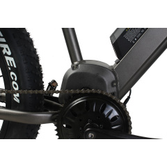 Super Torque Bafang Mid Drive Ebike 1000W Central MotorEelectric Mountain Bike With 26