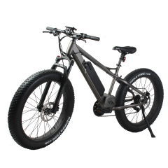 Super Torque Bafang Mid Drive Ebike 1000W Central MotorEelectric Mountain Bike With 26