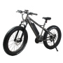 Super Torque Bafang Mid Drive Ebike 1000W Central MotorEelectric Mountain Bike With 26