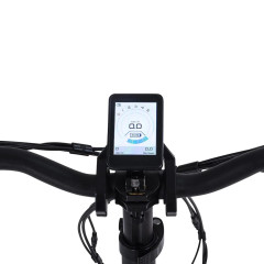 Super Lightweight 36V 250W Electric Bicycle 17kgs 20 Inch Folding Bike with Built Hidden Battery 60km Range per Power"