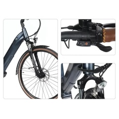 New Arrival 36V 250W Urban Electric City Bike 700C Retro Bicycle Step Through E Bike With Shimano 8 Speed Gears