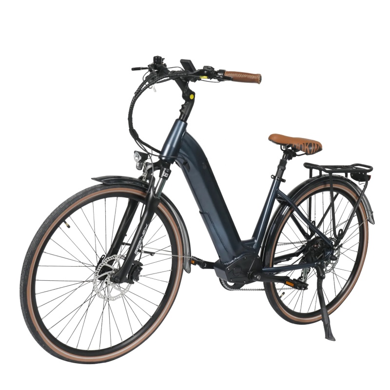 New Arrival 36V 250W Urban Electric City Bike 700C Retro Bicycle Step Through E Bike With Shimano 8 Speed Gears