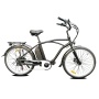 48V 500W High Power 26 Inch Beach Cruiser Tandem Electric Bike Best True Fashion Beach Fat Bike For Sales