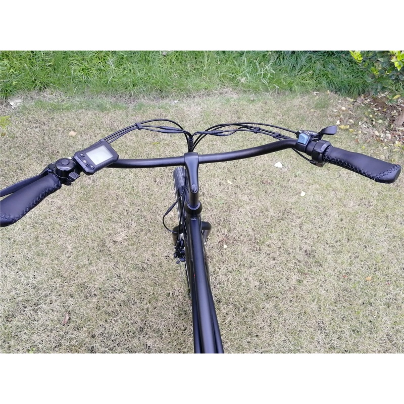 48V 500W High Power 26 Inch Beach Cruiser Tandem Electric Bike Best True Fashion Beach Fat Bike For Sales