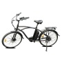 48V 500W High Power 26 Inch Beach Cruiser Tandem Electric Bike Best True Fashion Beach Fat Bike For Sales