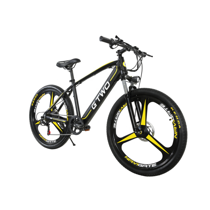 2021 Most Stylish 350W Mag Wheel E Bike MTB 48V Hidden Battery Electric Bike Cute Ebike Electric Bicycle