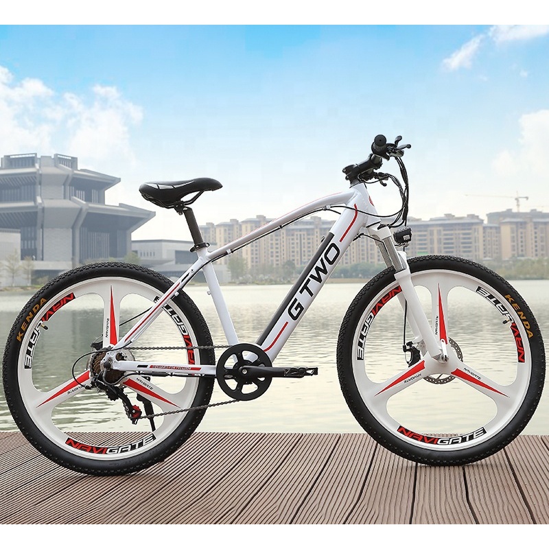 2021 Most Stylish 350W Mag Wheel E Bike MTB 48V Hidden Battery Electric Bike Cute Ebike Electric Bicycle