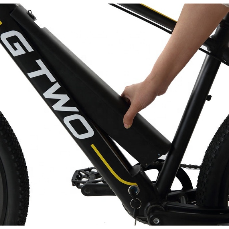 2021 Most Stylish 350W Mag Wheel E Bike MTB 48V Hidden Battery Electric Bike Cute Ebike Electric Bicycle