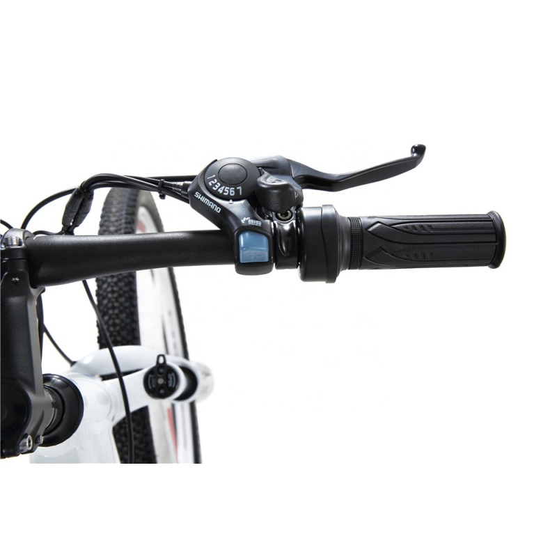 2021 Most Stylish 350W Mag Wheel E Bike MTB 48V Hidden Battery Electric Bike Cute Ebike Electric Bicycle