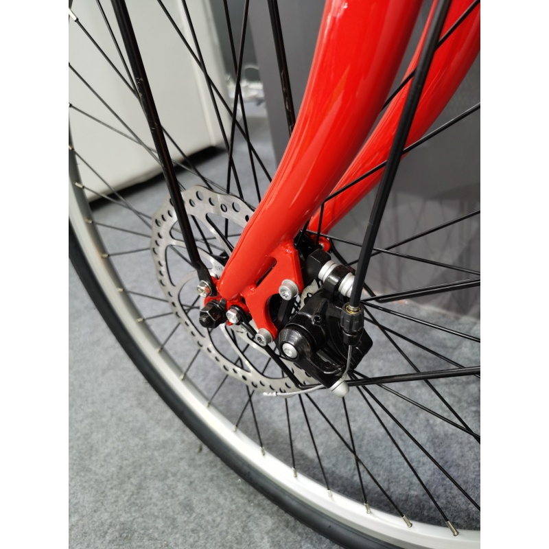 36V 250W Economic Ladies Electric Bike Step Through Electric City Bike Brand New Electric Bicycle With 26 Inches Wheel