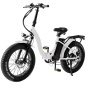 hot sale electric bike china electric bicycle wholesale 36V 250W e bike fat tire low price on alibaba