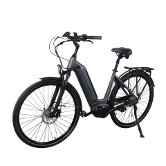 36V 250W Bafang M400 Mid Drive Motor Electric bike 28 Inch Torque Sensor Ebike With SCHWALBE Tires Shimano Inner 7 Gears