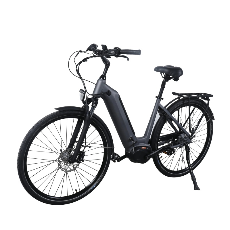 36V 250W Bafang M400 Mid Drive Motor Electric bike 28 Inch Torque Sensor Ebike With SCHWALBE Tires Shimano Inner 7 Gears