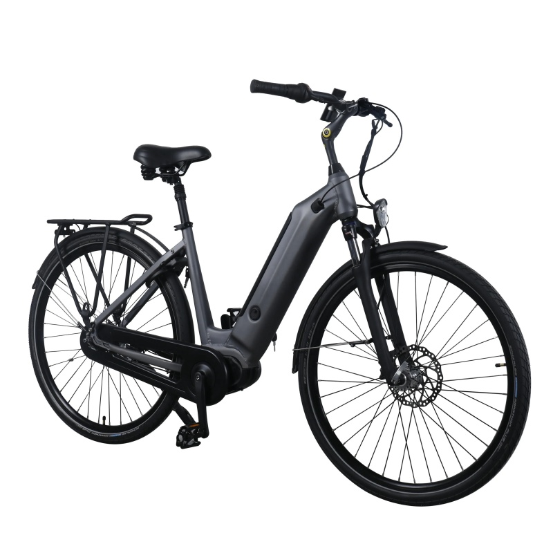 36V 250W Bafang M400 Mid Drive Motor Electric bike 28 Inch Torque Sensor Ebike With SCHWALBE Tires Shimano Inner 7 Gears