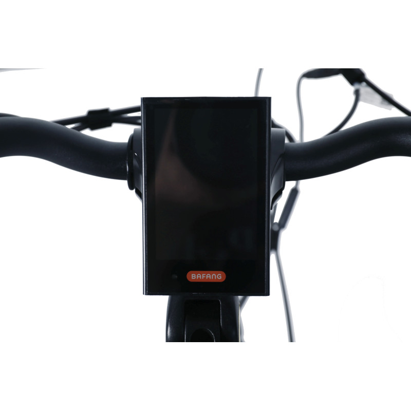 36V 250W Bafang M400 Mid Drive Motor Electric bike 28 Inch Torque Sensor Ebike With SCHWALBE Tires Shimano Inner 7 Gears