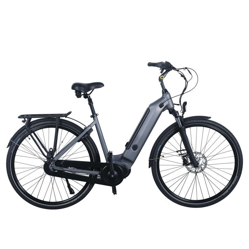 36V 250W Bafang M400 Mid Drive Motor Electric bike 28 Inch Torque Sensor Ebike With SCHWALBE Tires Shimano Inner 7 Gears