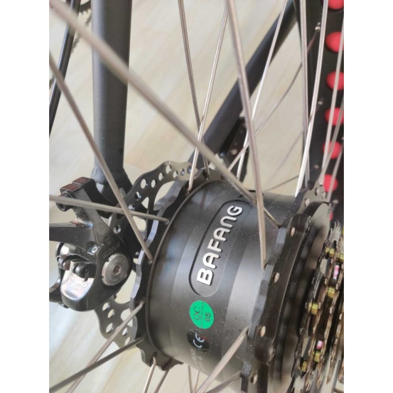 2020 New Arrival Patent Design Electric Fat Bike With 26