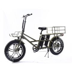 Long Range 120Km Electric Cargo Bike With 20
