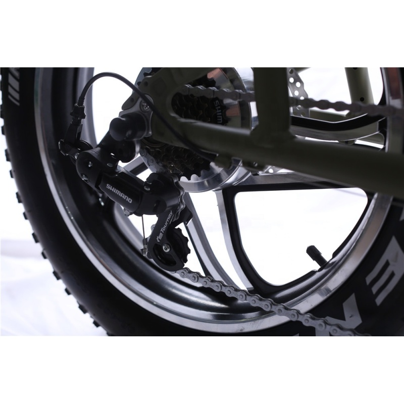 Long Range 120Km Electric Cargo Bike With 20
