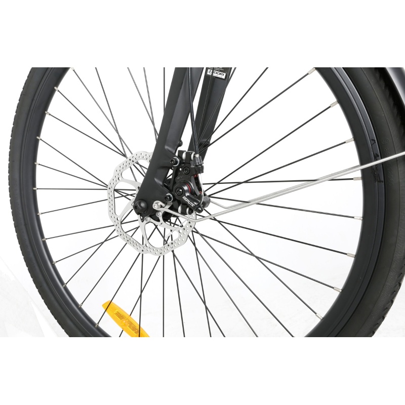 OEM Stylish 250W Electric City Bike With 36V 10.4Ah Hidden Battery Light E Bike For Commuting