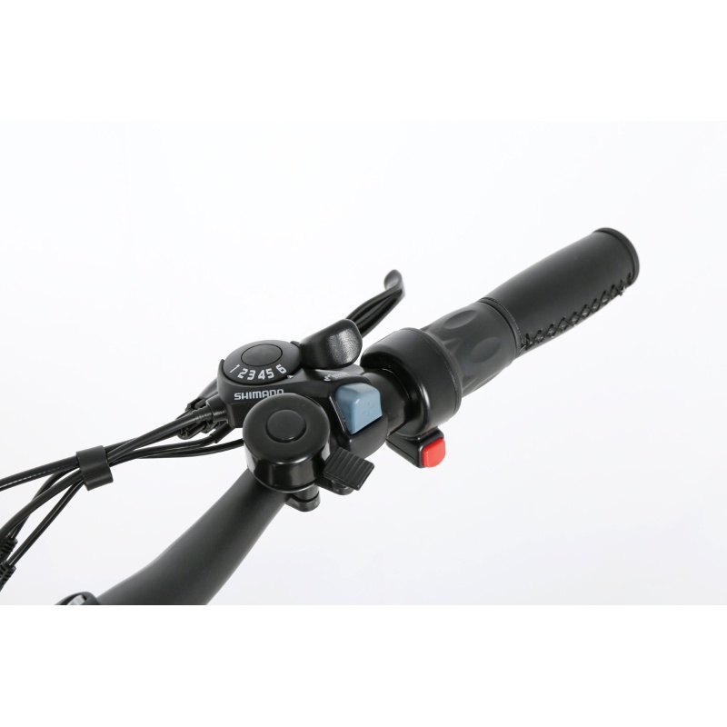 OEM Stylish 250W Electric City Bike With 36V 10.4Ah Hidden Battery Light E Bike For Commuting