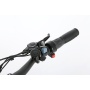 OEM Stylish 250W Electric City Bike With 36V 10.4Ah Hidden Battery Light E Bike For Commuting