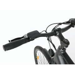Soem stilvolles 250W elektrisches Stadt-Fahrrad mit 36V 10.4Ah verstecktem Batterie-Licht E-Fahrrad für das Pendeln