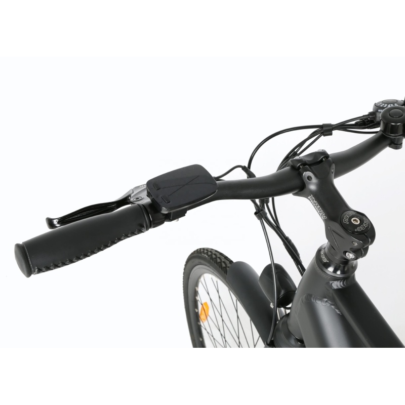 OEM Stylish 250W Electric City Bike With 36V 10.4Ah Hidden Battery Light E Bike For Commuting