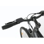 OEM Stylish 250W Electric City Bike With 36V 10.4Ah Hidden Battery Light E Bike For Commuting