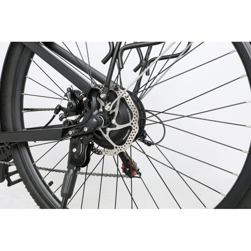 OEM Stylish 250W Electric City Bike With 36V 10.4Ah Hidden Battery Light E Bike For Commuting
