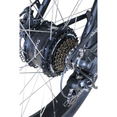 Hot Sales Big Power 750W Fat Tire Electric Bike 26