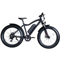 Hot Sales Big Power 750W Fat Tire Electric Bike 26
